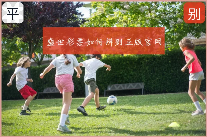 盛世彩票如何辨别正版官网